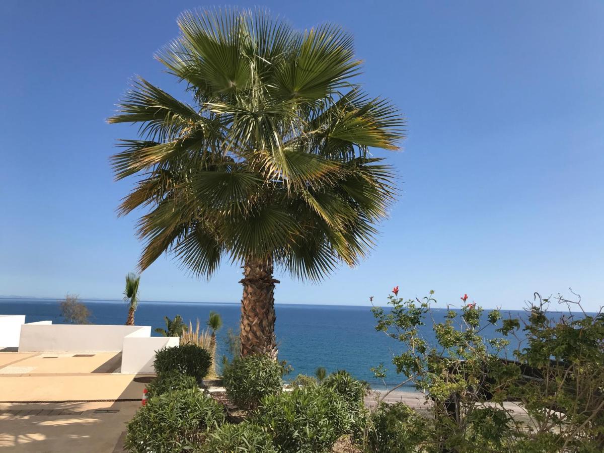 Palmbeach